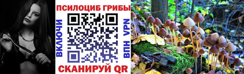 Псилоцибиновые грибы ЛСД  Болгар 